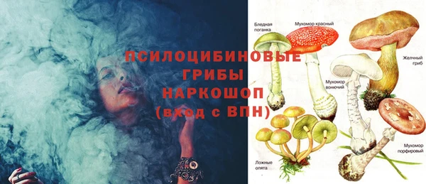 стаф Верхний Тагил